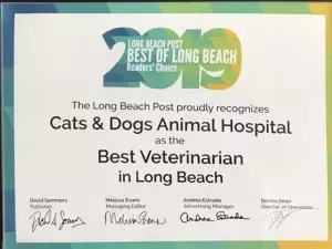 Long Beach Post, Readers Choice Award