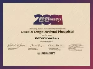 Long Beach Post, Readers Choice Award